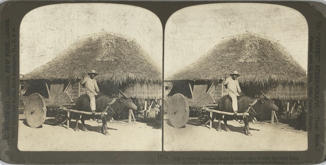 Primitive carabao (water buffalo) cart, wheels one solid piece of wood, Philippine Islands.